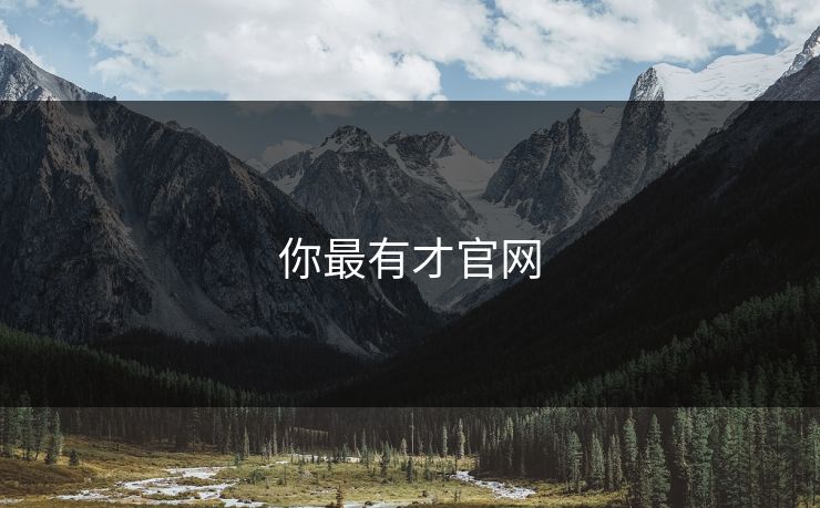 你最有才官网