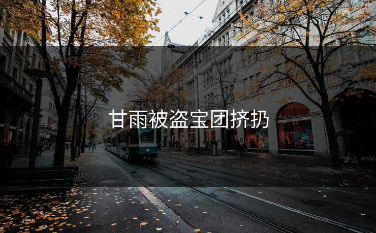 甘雨被盗宝团挤扔