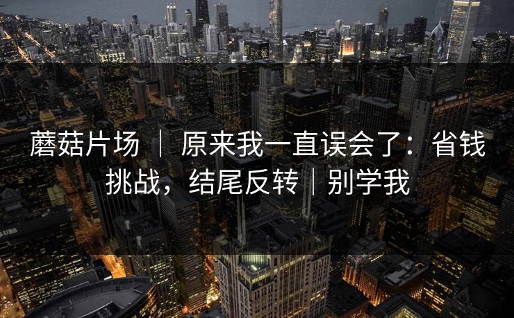蘑菇片场 ｜ 原来我一直误会了：省钱挑战，结尾反转｜别学我